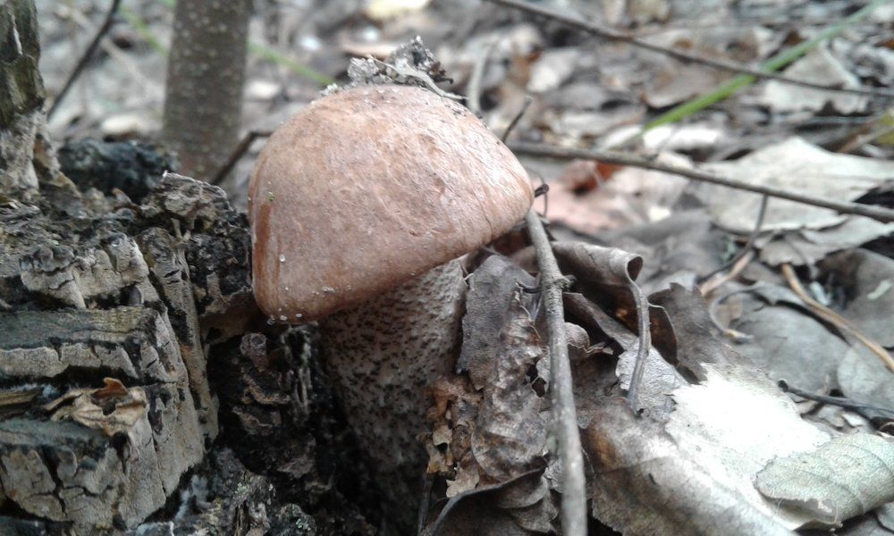 Укутался