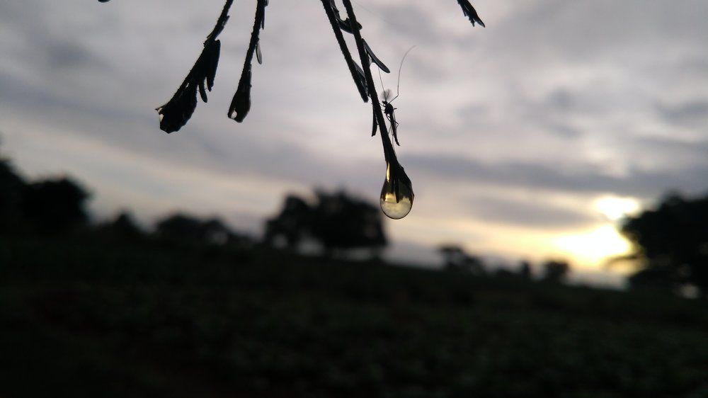 Water droplet