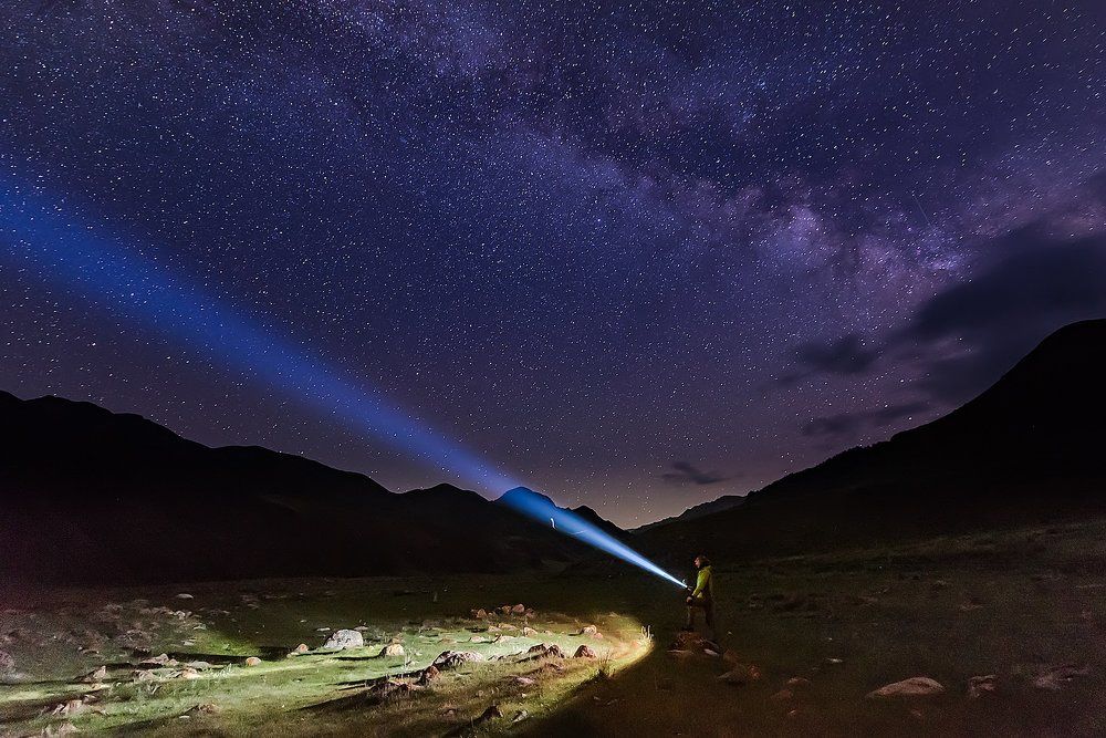 Ночной дозор