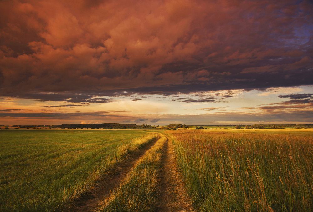 Photograph by Екатерина