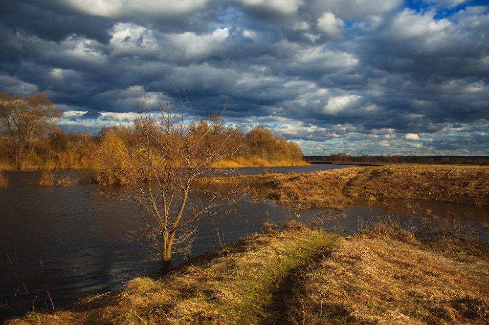 Photograph by Екатерина