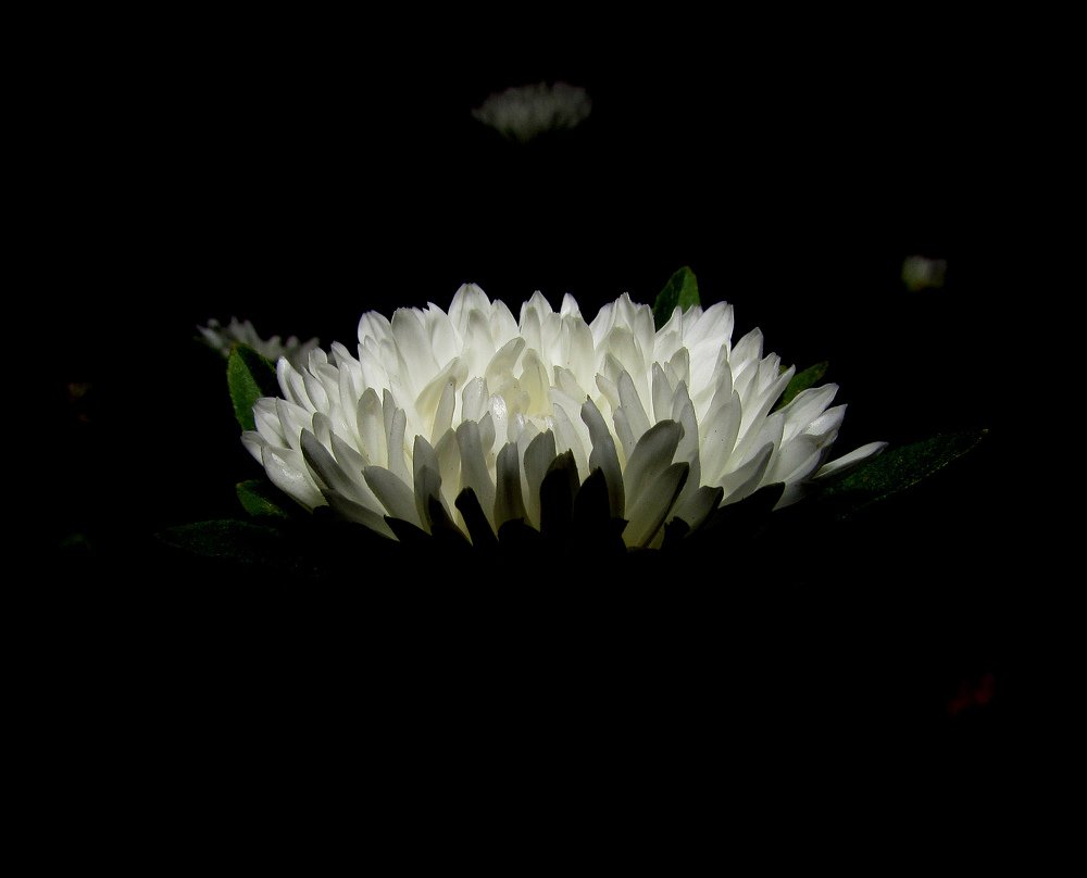 Он светится...