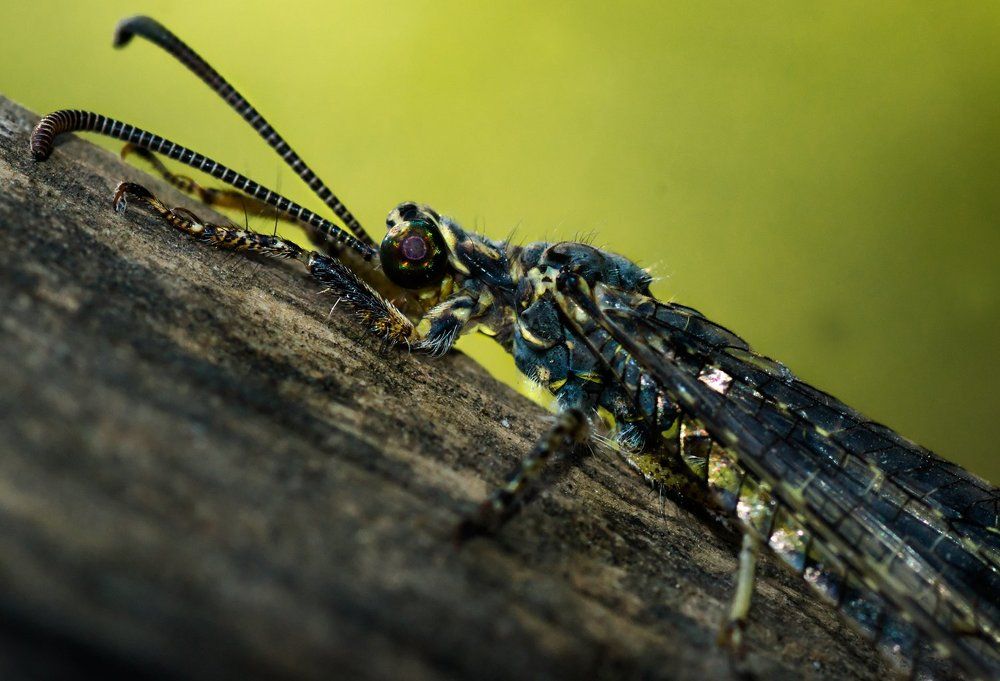 Photograph by Тараненко Анжелика