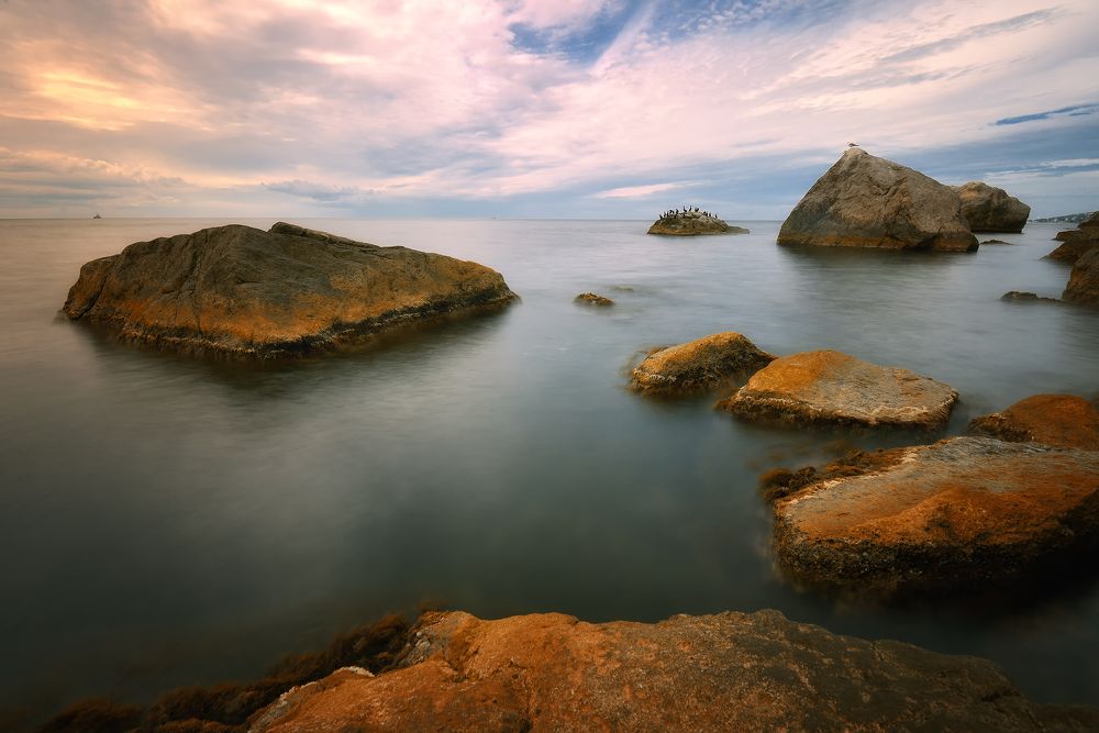 Про бакланов