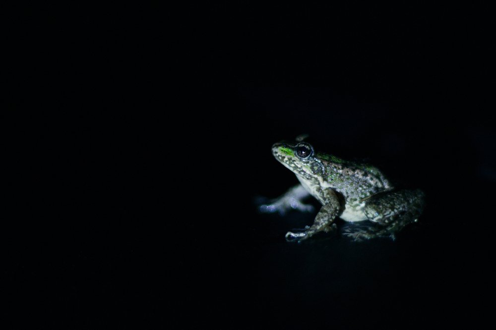 Photograph by Марина Титова