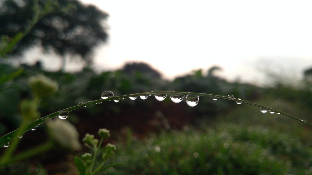 Water droplets