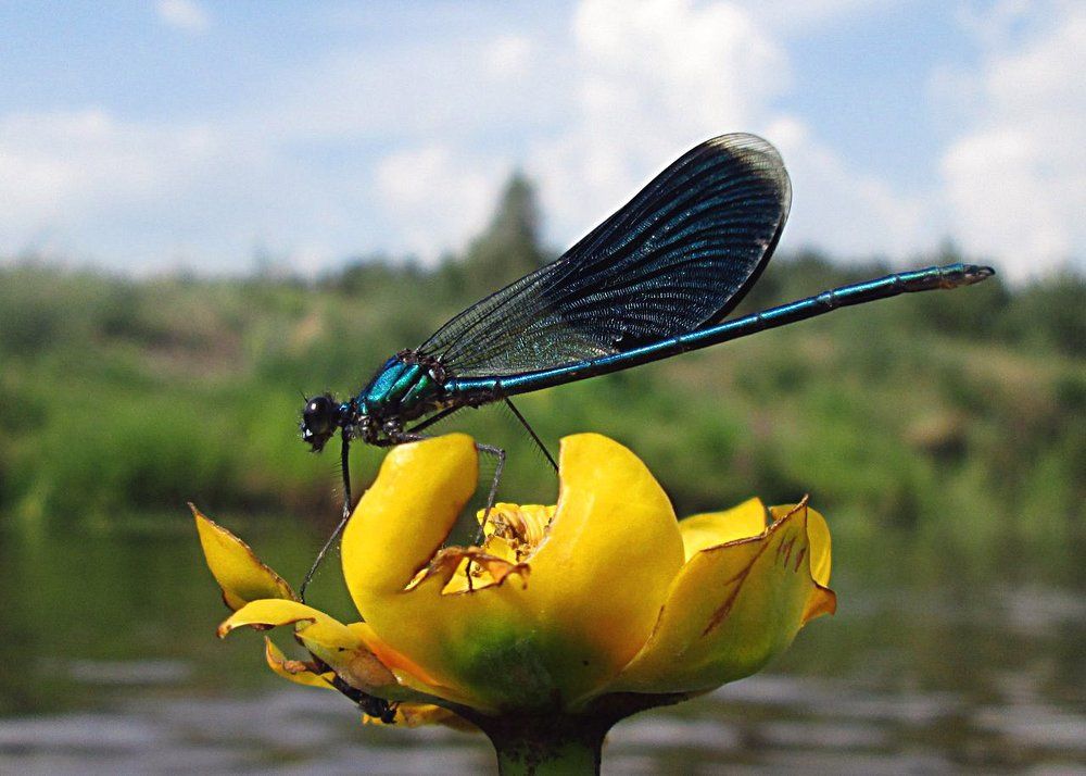 Photograph by Засимович Виктор