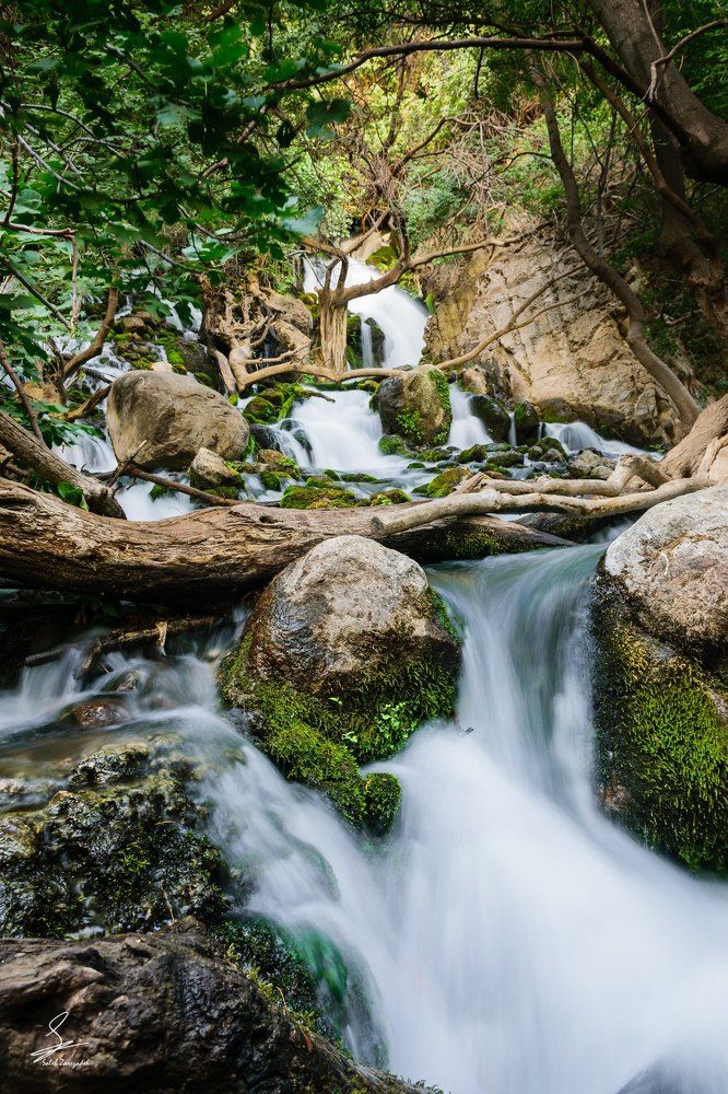 Green waterfall
