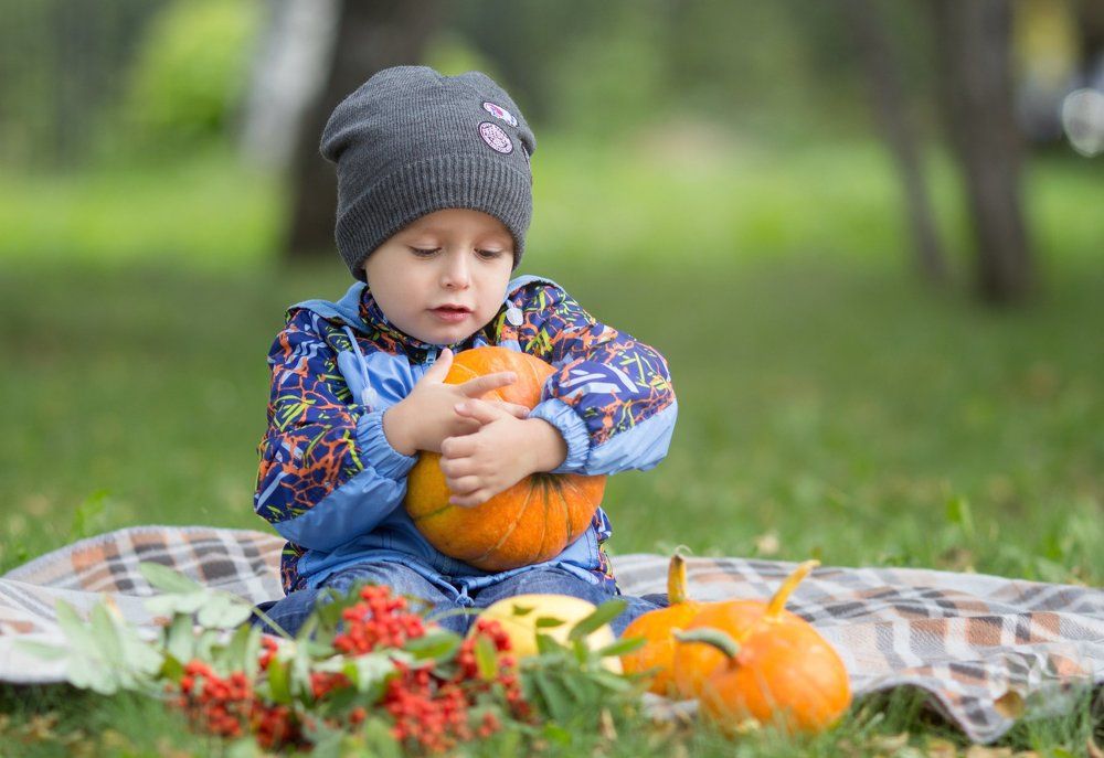 осенний пикник