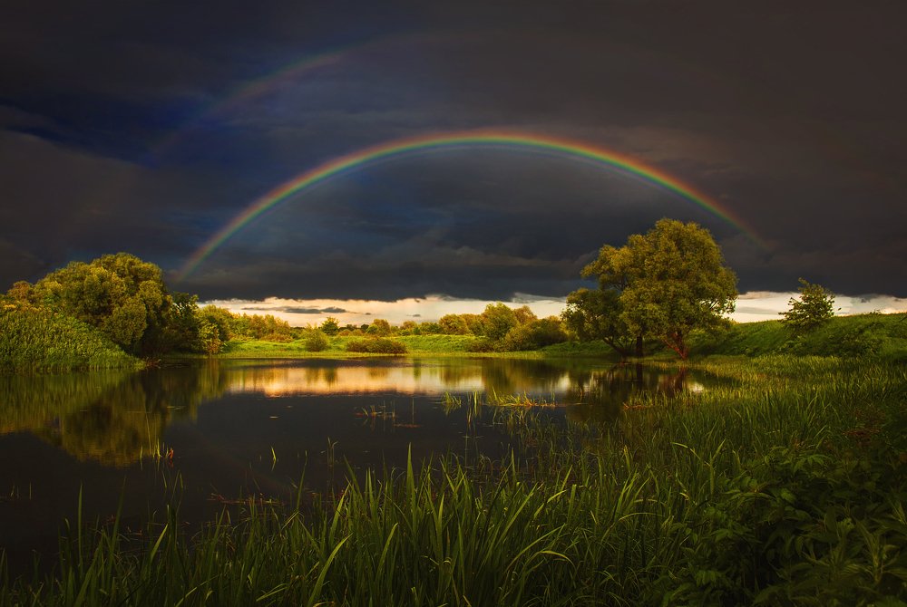 Photograph by Екатерина