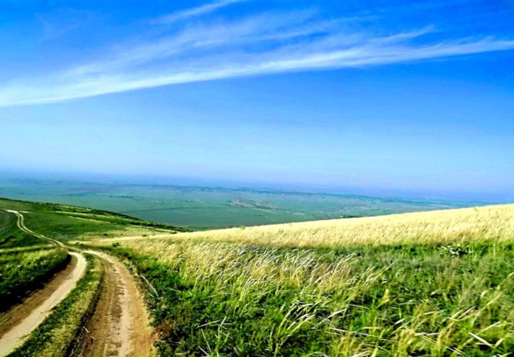 Небесные и земные линии