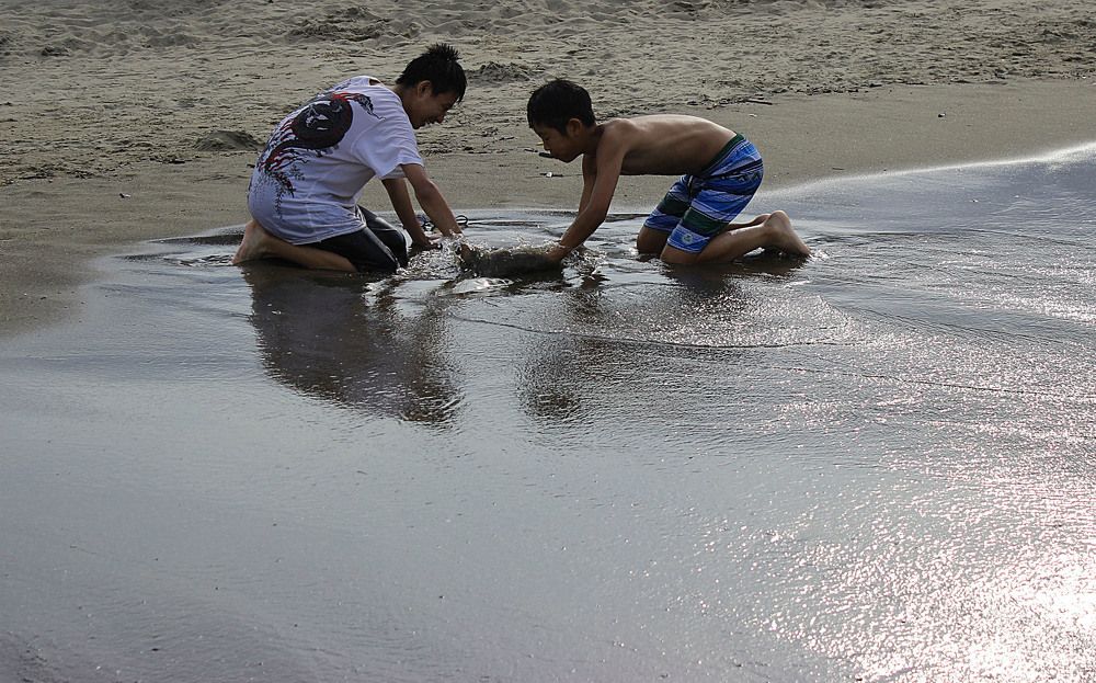 Постройка замка из песка