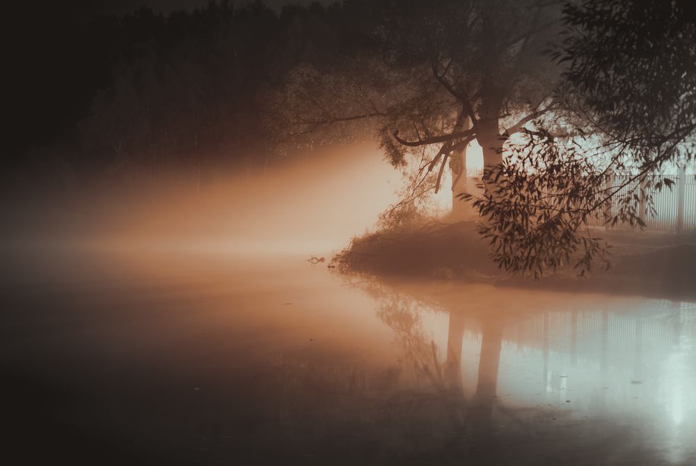 Photograph by Дмитрий