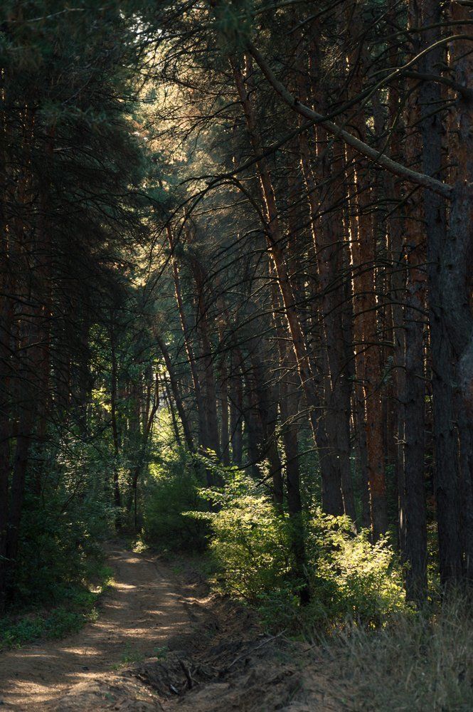 Сентябрьское утро