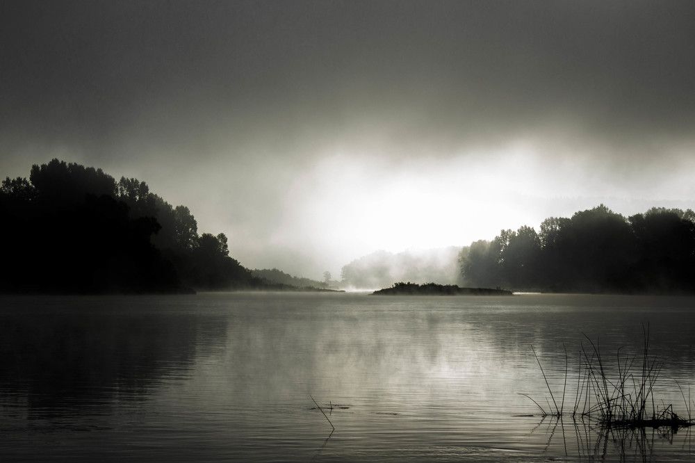 Туманный рассвет