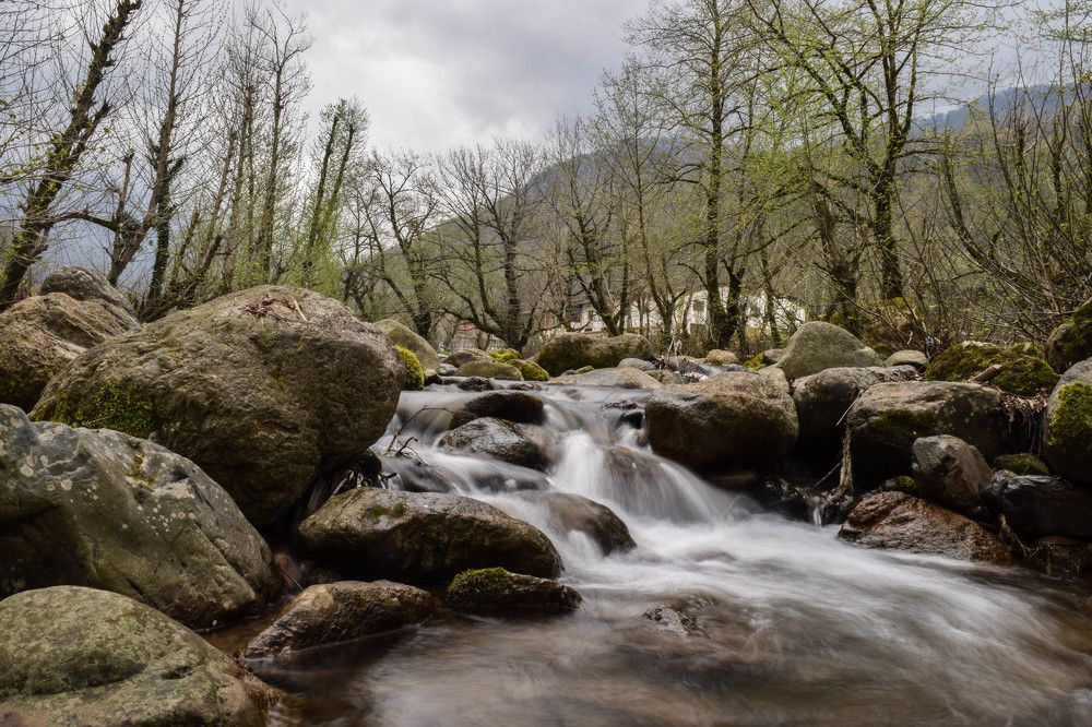 Photograph by reza nemati