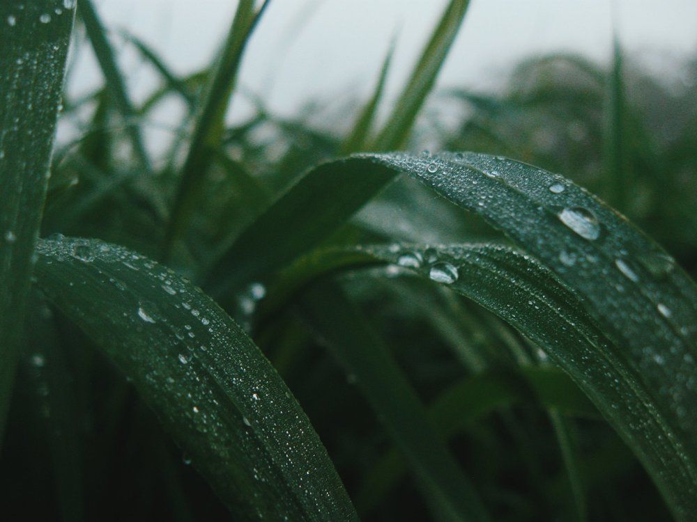 Photo #1933600