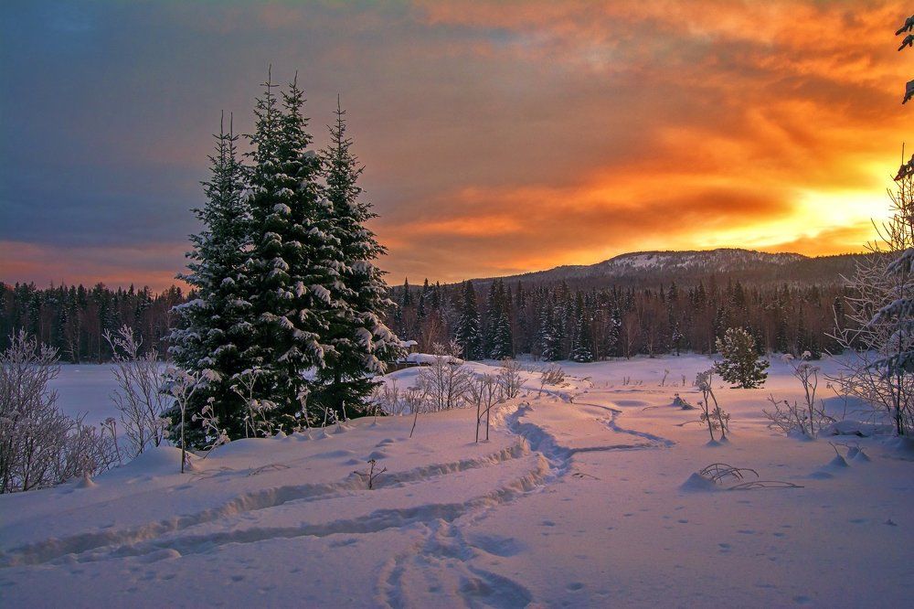 Пылающий рассвет