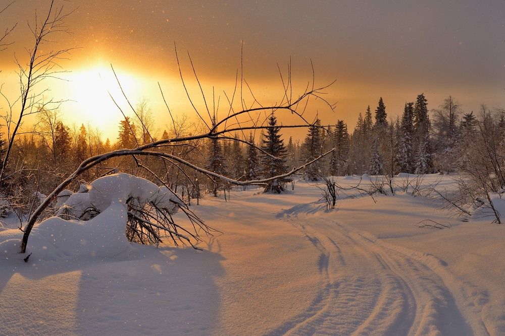 Зимними тропами . Winter trails.