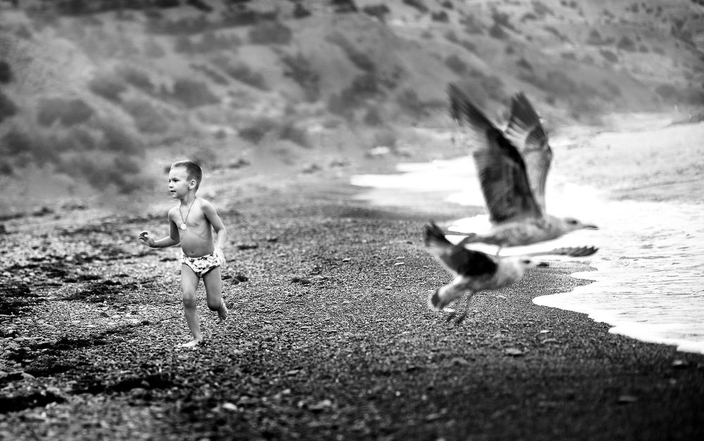 Photograph by Александр Шемятенков