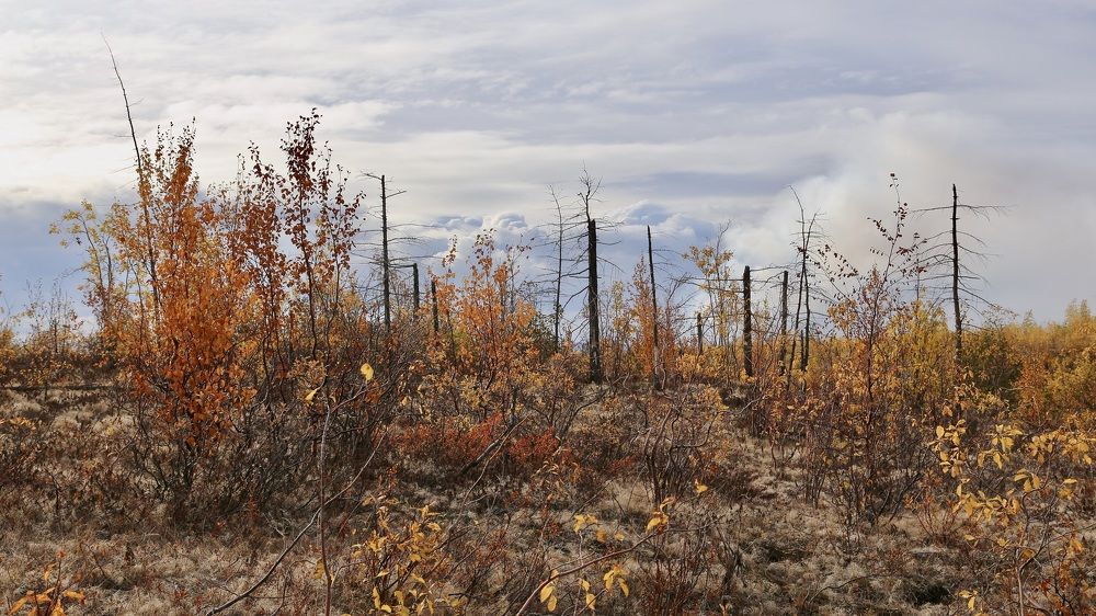 Крайний север. Норильск
