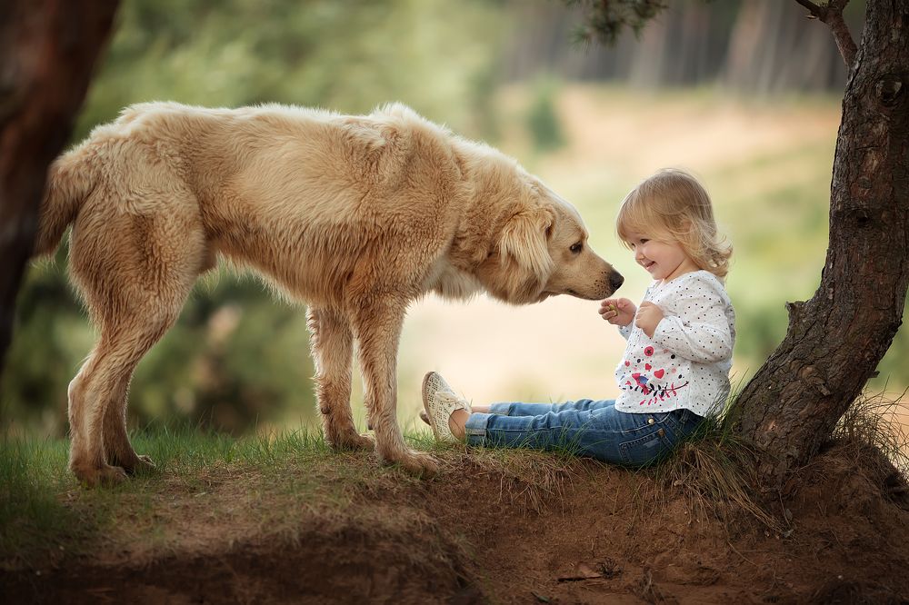 неожиданное знакомство
