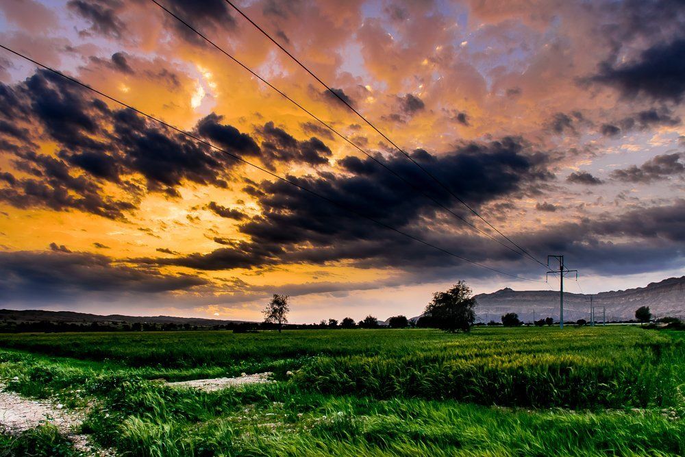 green sunset