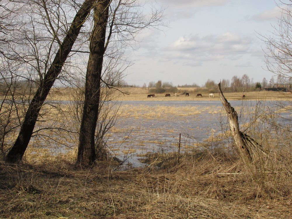 без названия