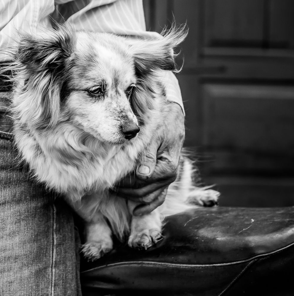 life is like a sport