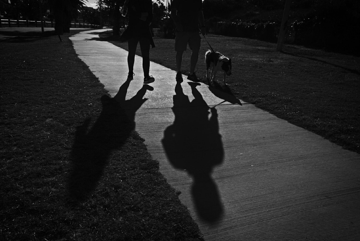 Walking the Dog