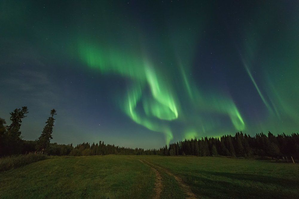 Освещая путь