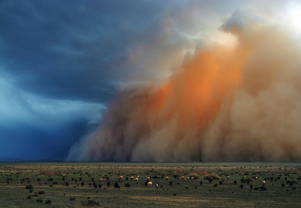 sandstorm