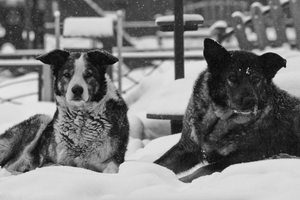 Photograph by Рамиль Газизов