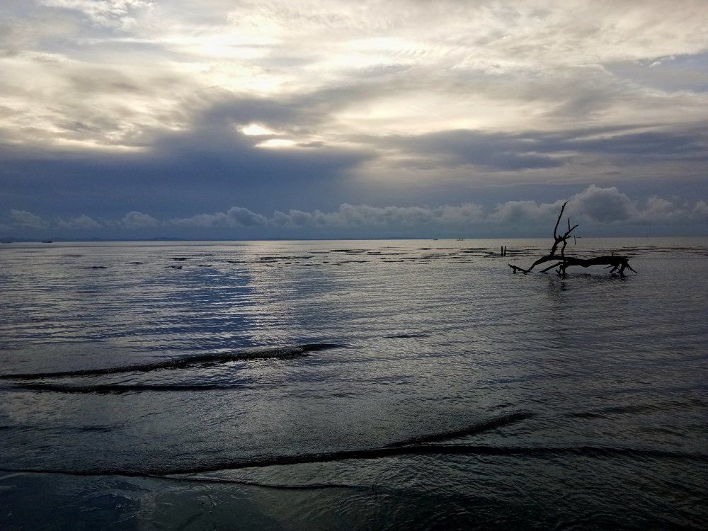Wonders of nature