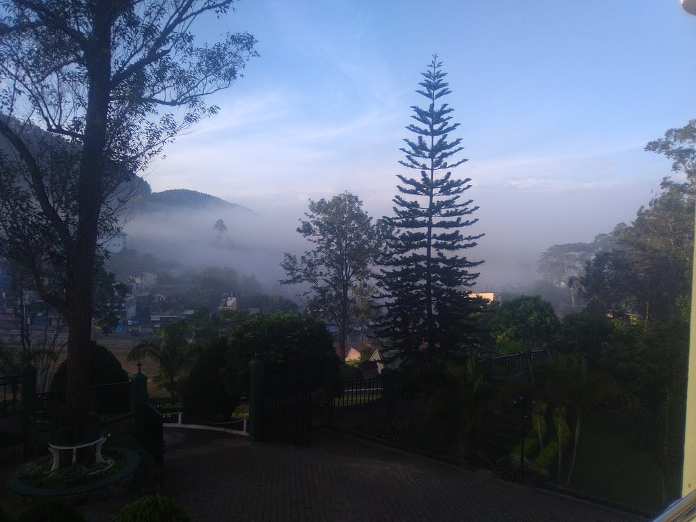 through mist