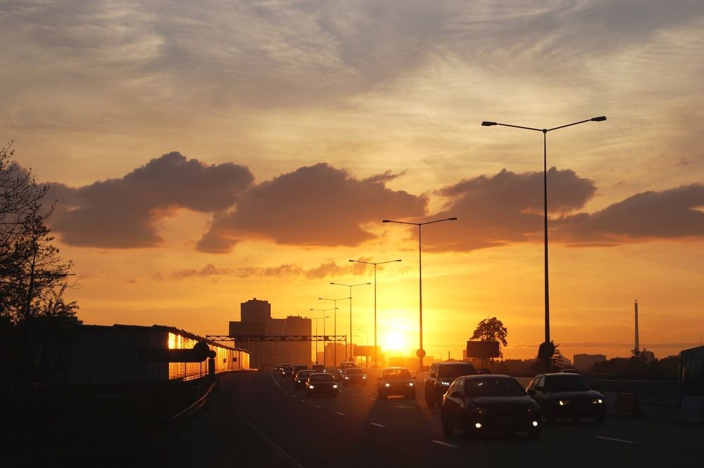 Прочь из каменных джунглей