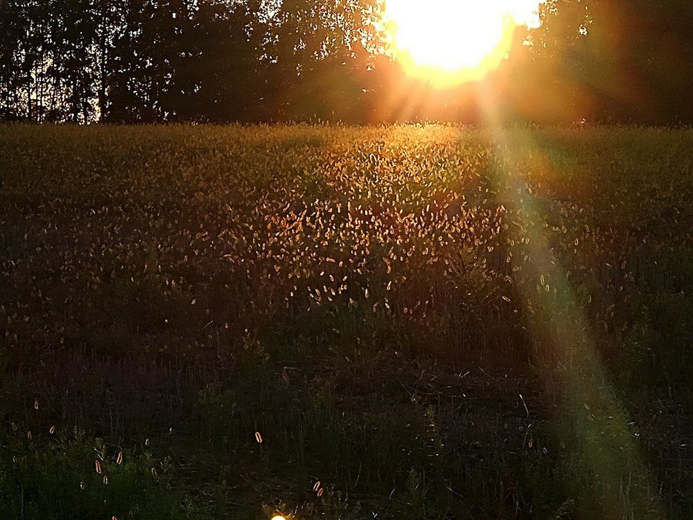 Светотень..