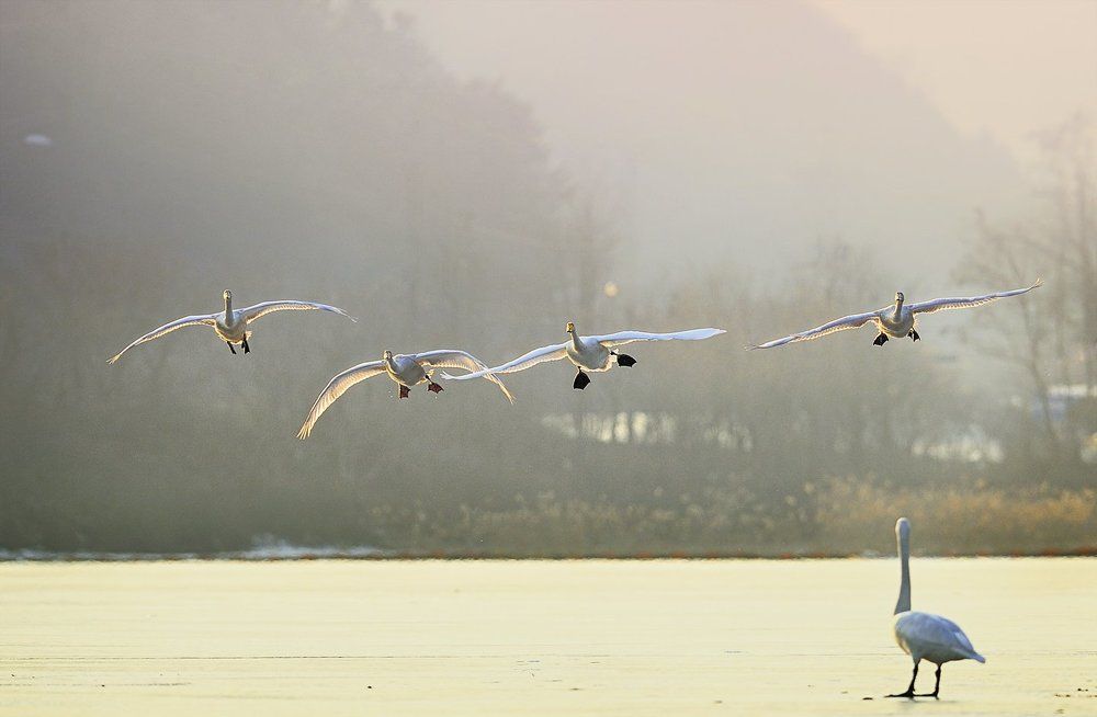 Waiting and returning