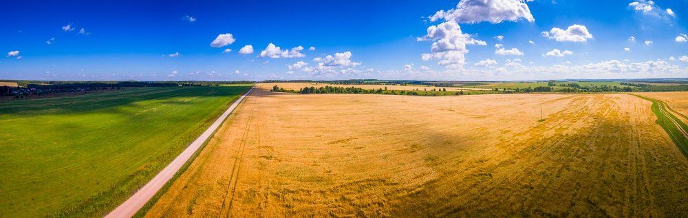 Летние просторы