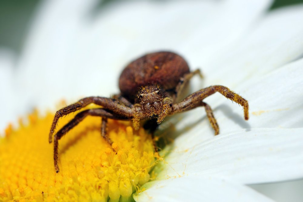 А у вас какое фото в паспорте?