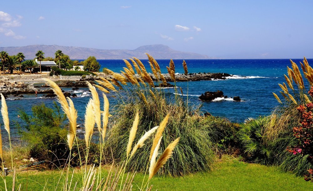 Райский уголок