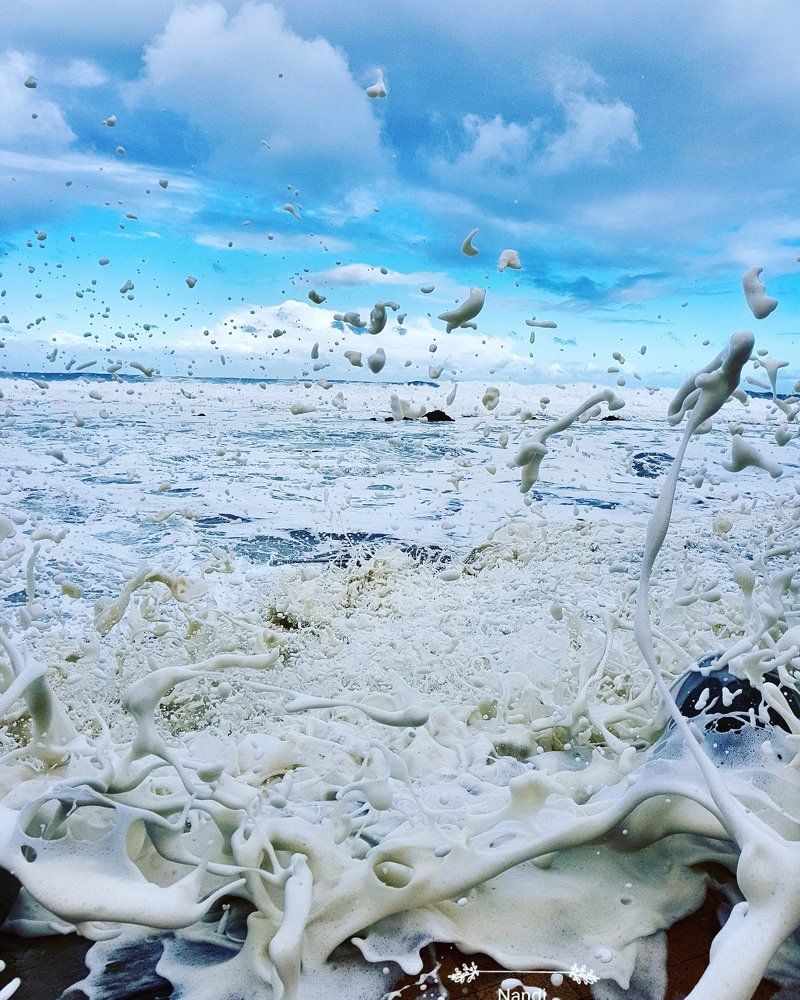 The beast wave Heroldsbaai South Africa
