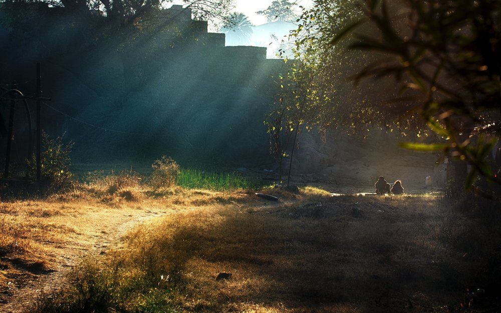 Rays of friendship