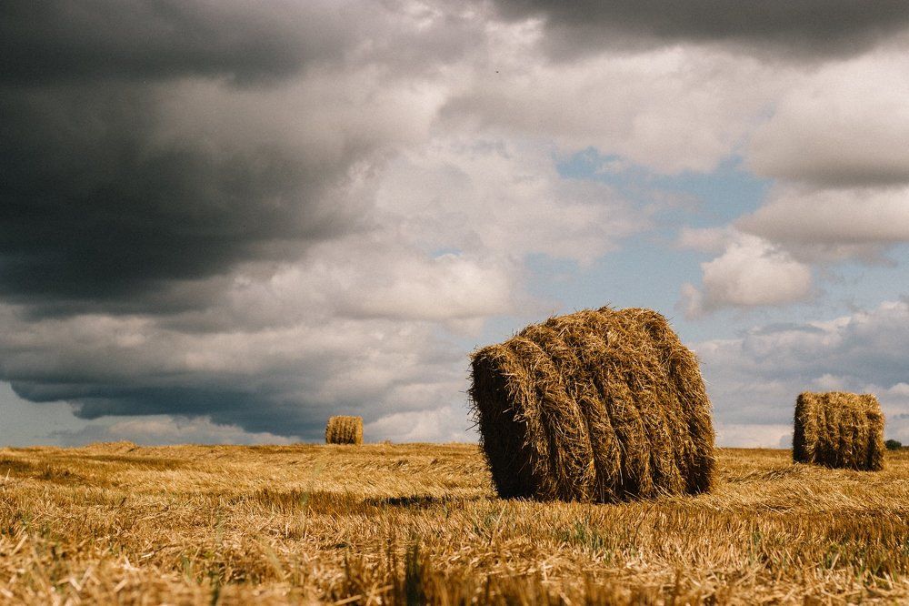 Photograph by Александр