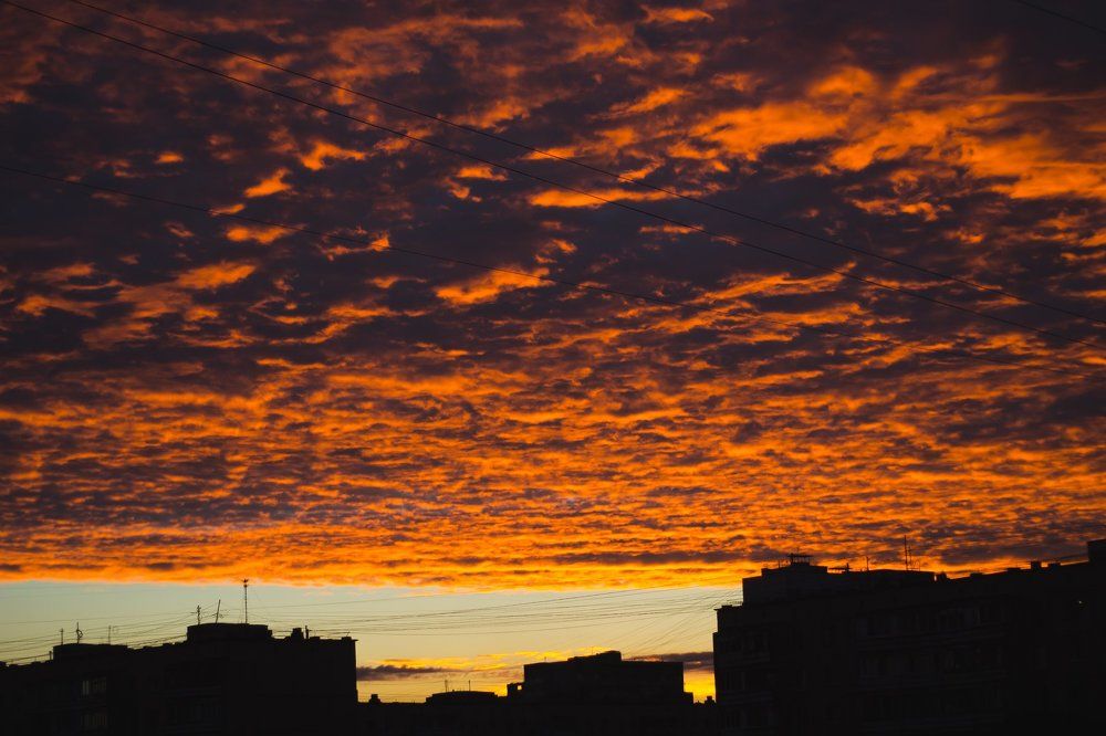 Photograph by Анастасия Хазова