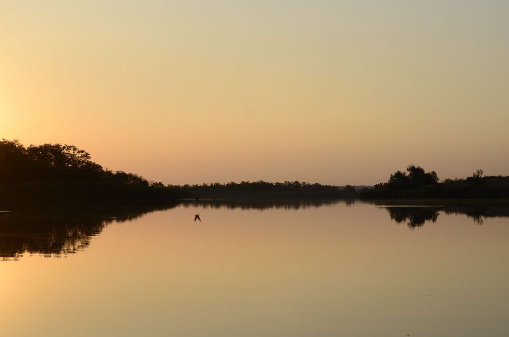 Photograph by Демчук-Федотова Олена