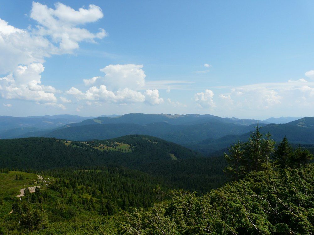 Photo #1935252