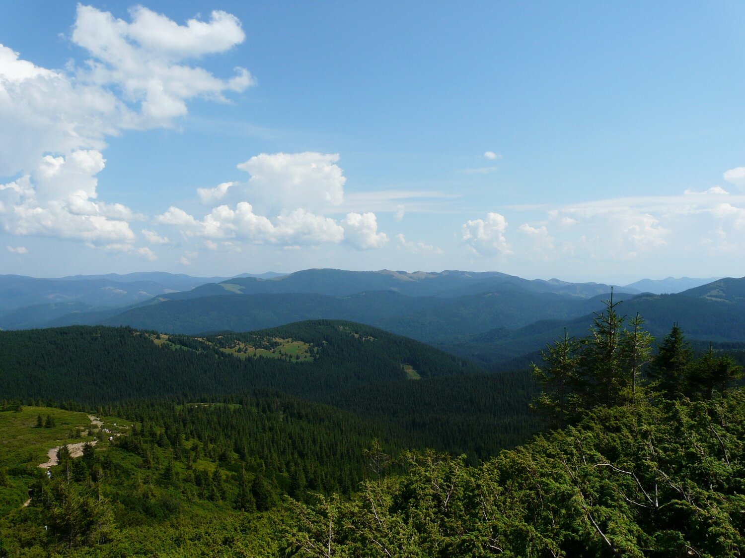 Photo #1935252
