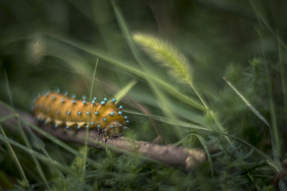 На прогулке!.....