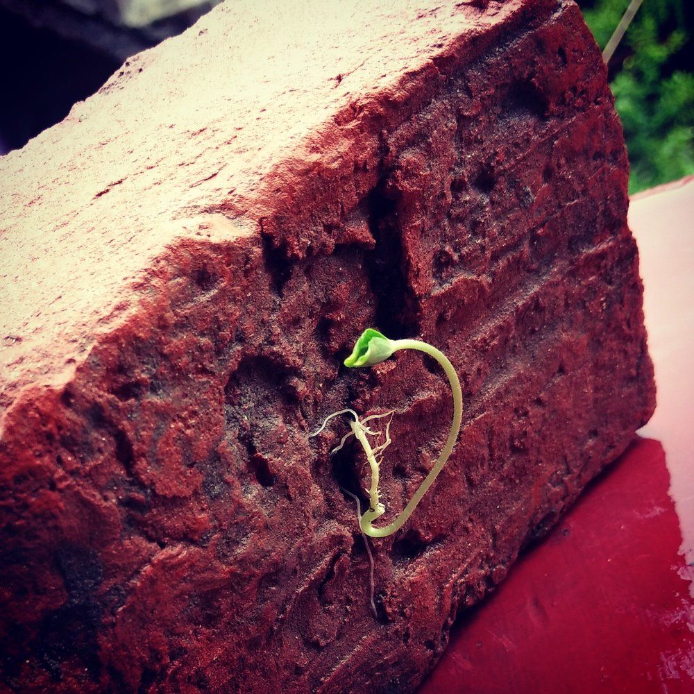 The power of nature